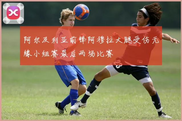 阿尔及利亚前锋阿穆拉大腿受伤无缘小组赛最后两场比赛