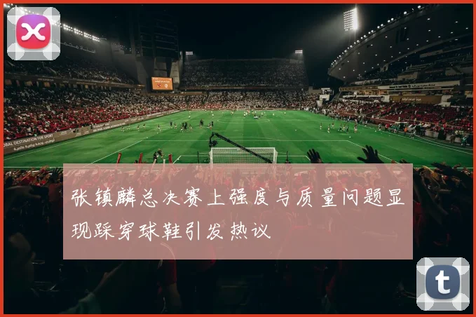 张镇麟总决赛上强度与质量问题显现踩穿球鞋引发热议