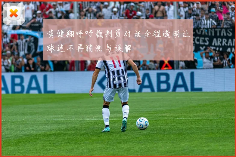 黄健翔呼吁裁判员对话全程透明让球迷不再猜测与误解